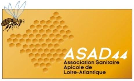 Logo asad 44