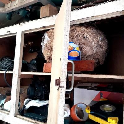 Nid secondaire cabinet