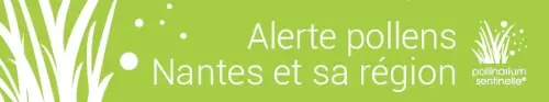 Alerte pollens nantes