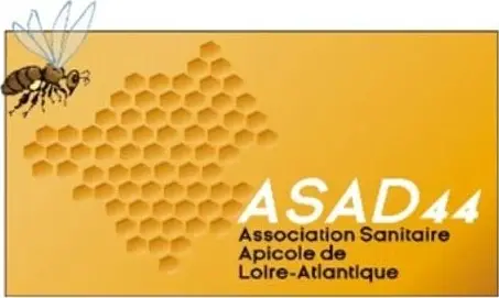 Logo asad 44